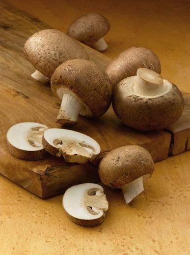 Mushrooms, Good To Eat, Good for You! | Mountain View Mushrooms
